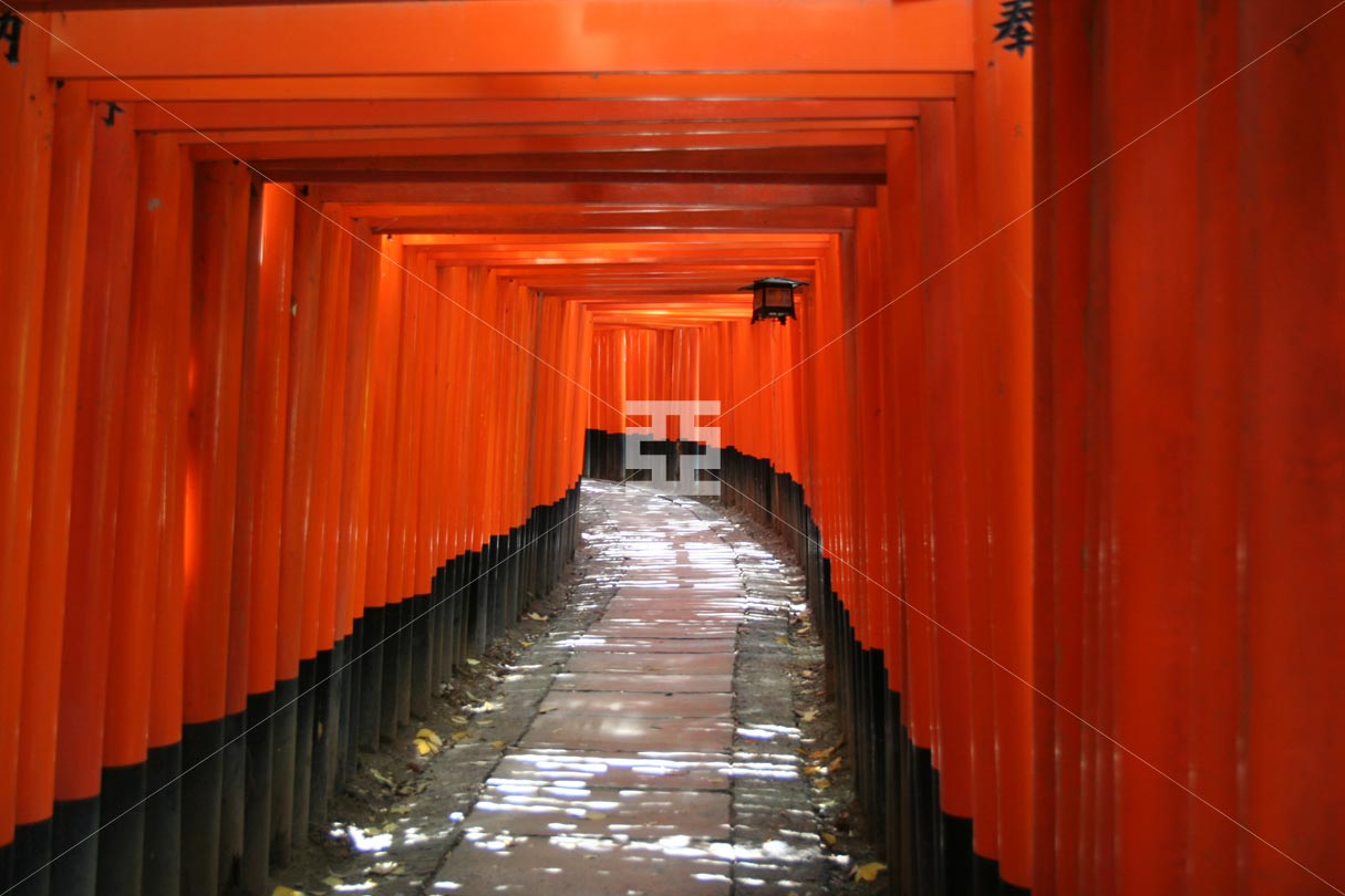 写真 鳥居 亞流