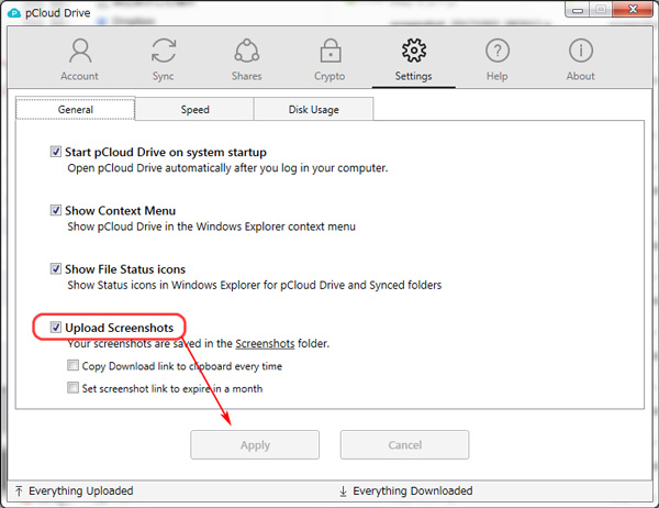 pCloud スクリーンキャプチャ 自動アップロード