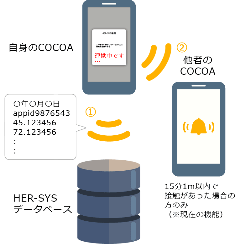 改定案:COCOAとHER-SYS(ハーシス)APIなどで連携した時の概念図