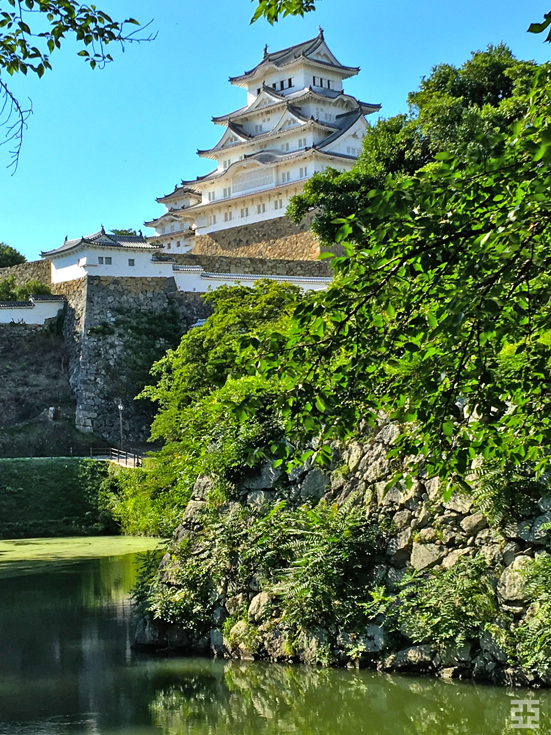 姫路城、池の前