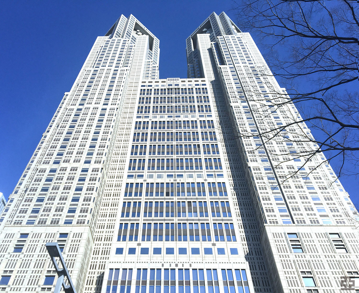 東京都庁裏面青空背景